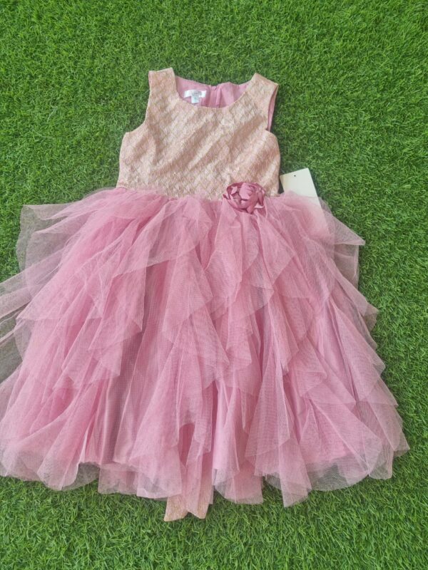 Pink Bloom Party Dress